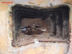 Sylwester na Roztoczu 2004 na 2005 rok 11