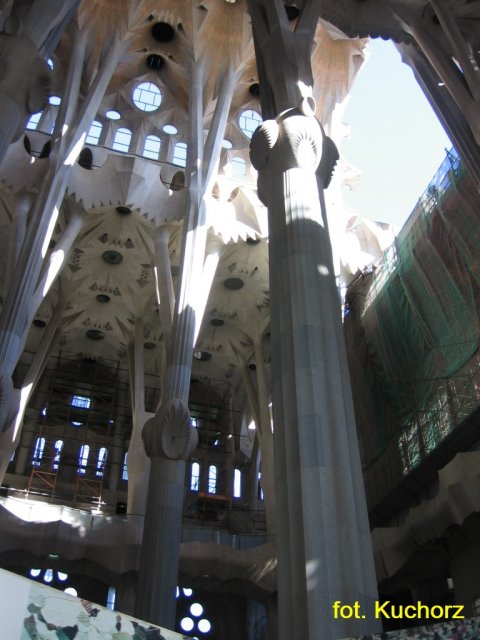 apw renifer Barcelona 24