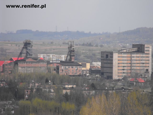 Alpinistyczne / Orzeł Biały 9