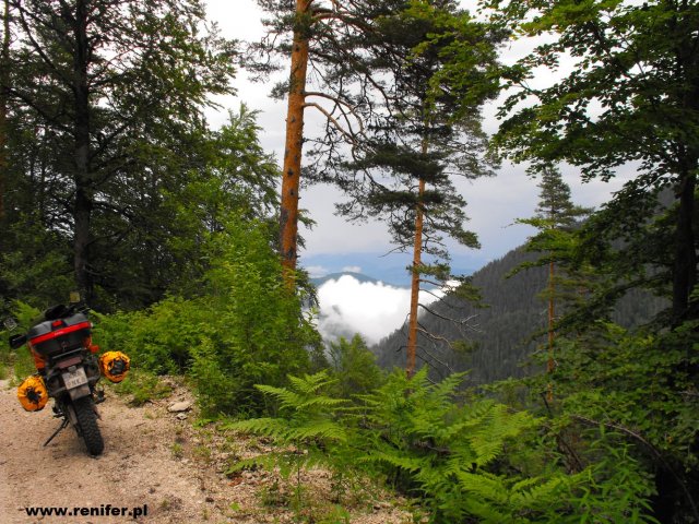 Bośnia, Hercegowina i Czarnogóra 3