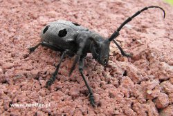 Bośnia i Hercegowina, majówka 2012