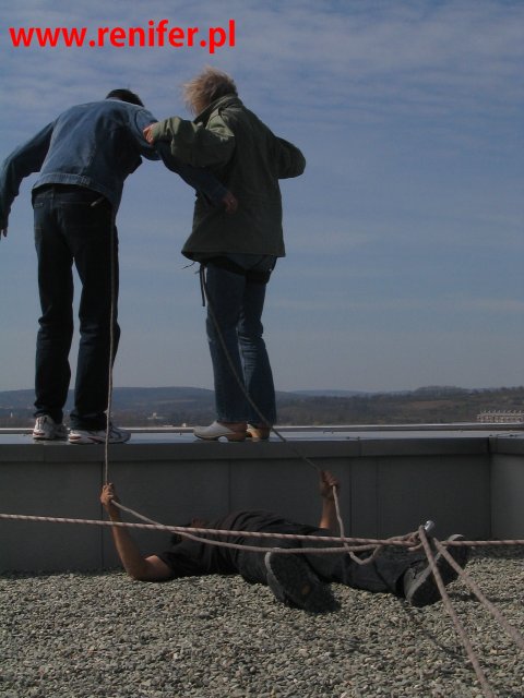 apw renifer - Kryszak