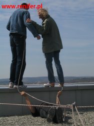 apw renifer - Kryszak