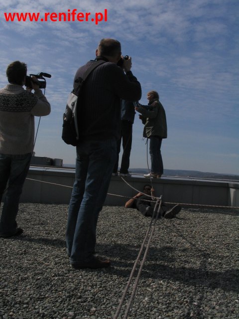 apw renifer - Kryszak