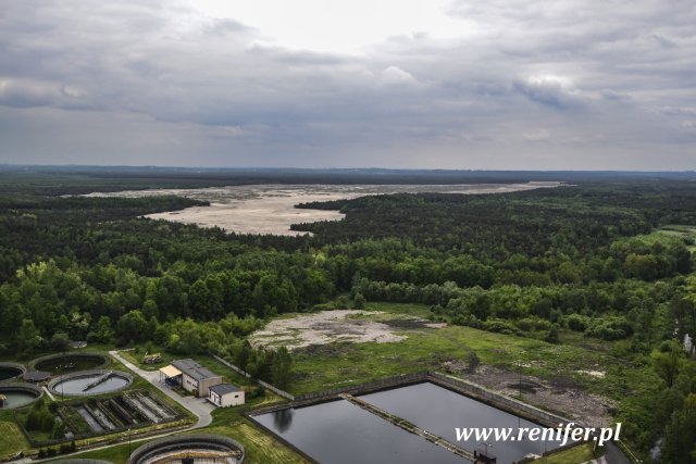 Błędowska  z komina w Kluczach